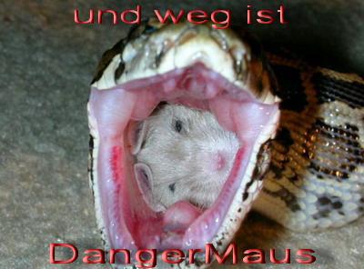 dangermaus.jpg